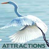 SW FL Attractions