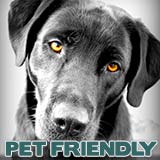 SW FL Pet Friendly Lodging - Dog-Friendly Hotels Resorts Vacation Rental homes 