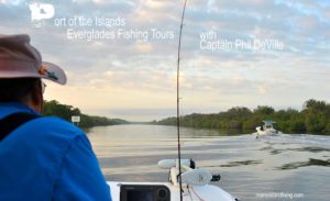 Everglades Fishing Charters 