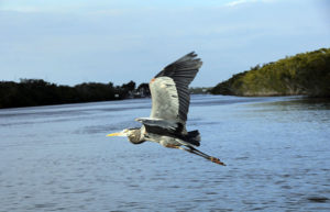 everglades national park vacations