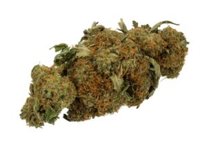 Marijuana Bud