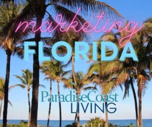 Shelling - Paradise Coast Living