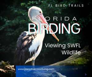 FL Birding Trail SWFL Birdwatch Birding