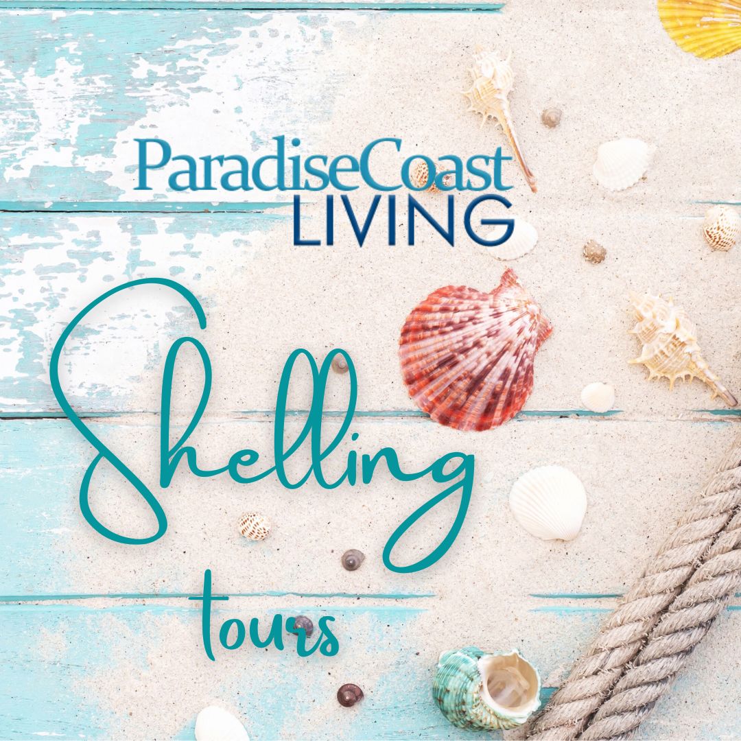 Shelling - Paradise Coast Living