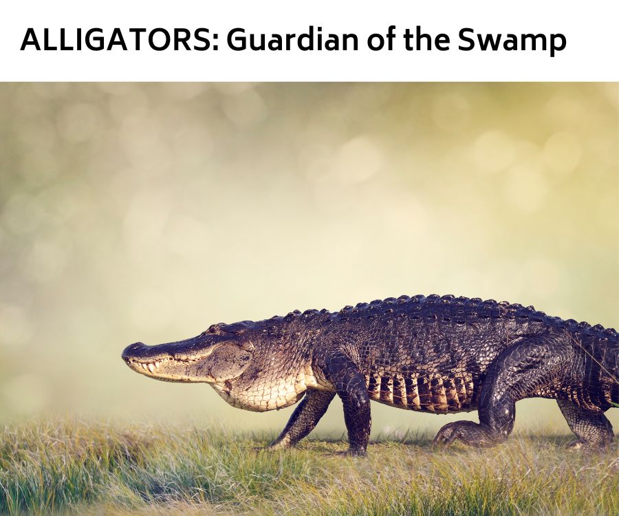 Giant Alligator