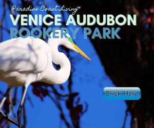 Birding in Florida - Visit to Venice Audubon Rookery Park Bird Sanctuary- NO Dogs