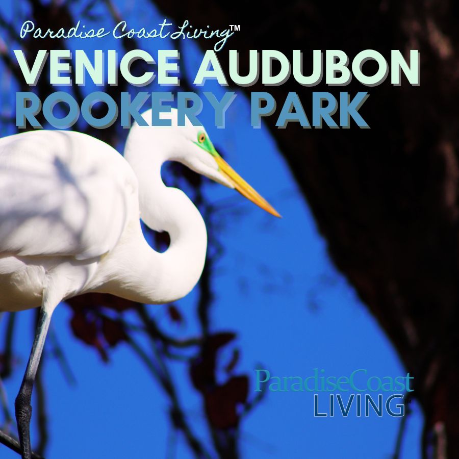 Venice Audubon Rookery Park in Venice Florida