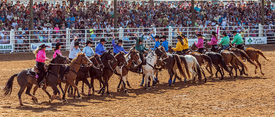 Arcadia Florida Rodeo