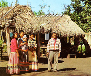 Ochopee Florida