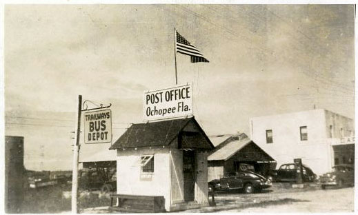 Vintage Florida Post Card - Ochopee FL