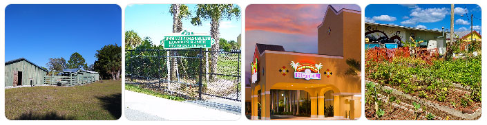Immokalee Florida Photographs